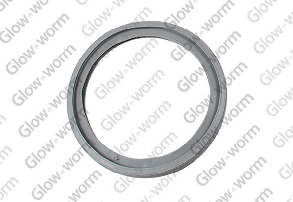 0020038381 - Gasket - Glow-worm