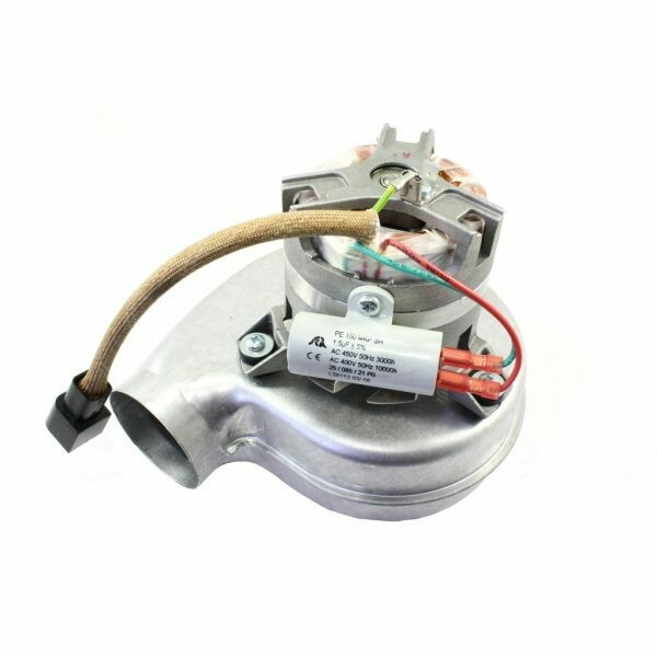 ELM-08863 Fan Leblance