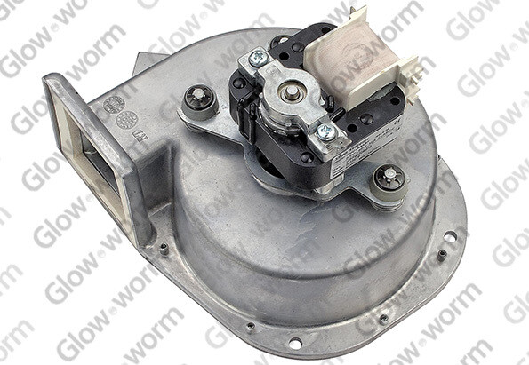 800876 - Fan - Glow-worm