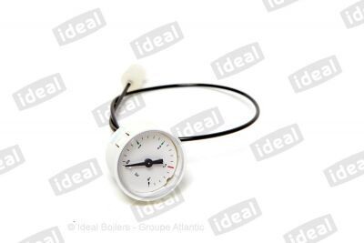 179031 - P/Gauge - Ideal