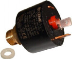 3.014379 - BRASS PRESSURE SWITCH/WASHER - Alpha
