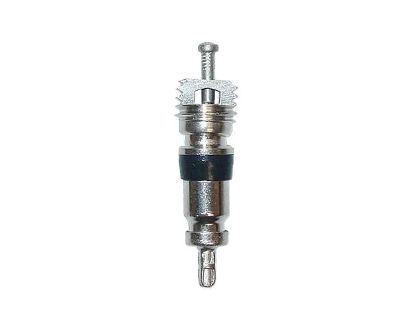 REGK33 - Schrader Valve Cores (10) - Regin
