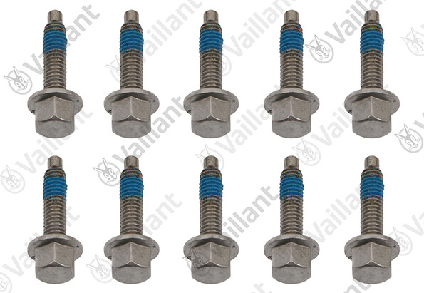 0020195489 - Screw, (x10) - Vaillant