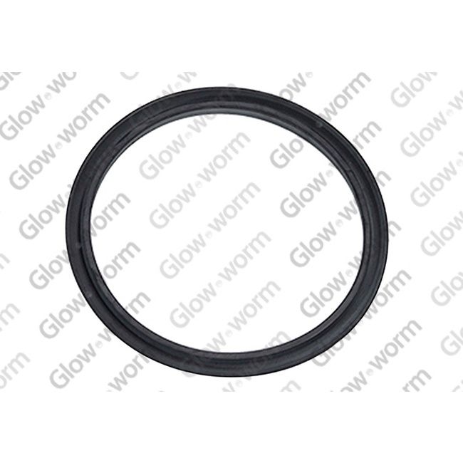 0020195520 - Gasket - Saunier Duval
