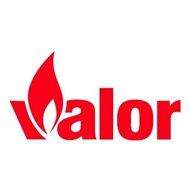 0563339 - FRONT COAL (RH) - Valor ( 563339 )