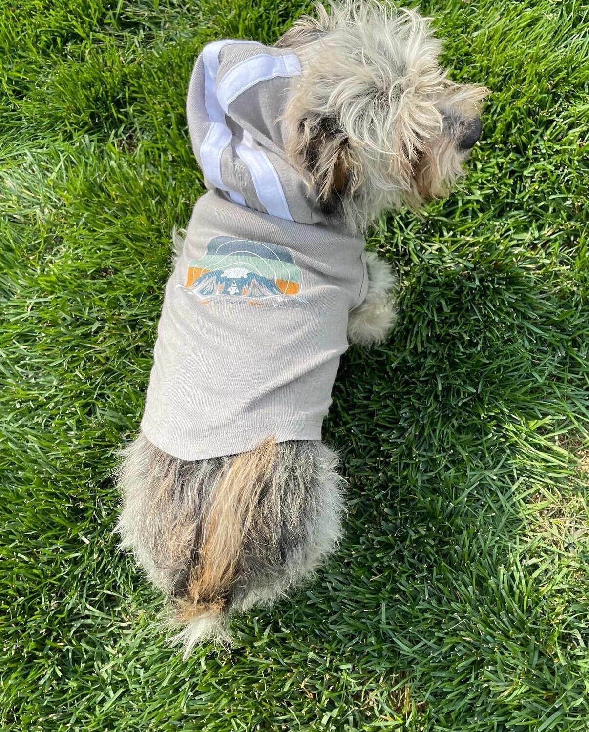 Dog Two Bears Hoodie - Gray