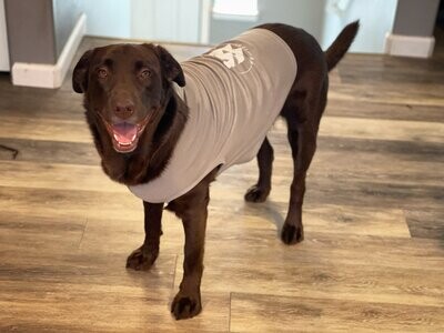 Dog Wenatchi Wear Hoodie - Gray