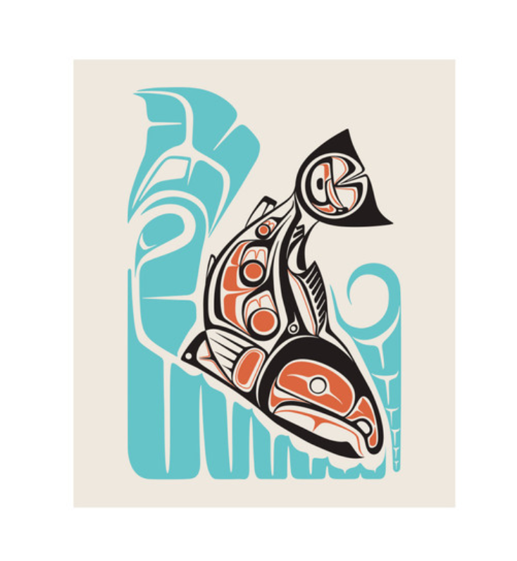 Eco Cloth - Sockeye Salmon