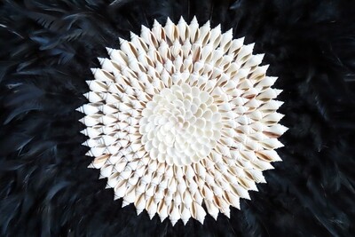 Large Black Sea Shell Center Wall Art 1