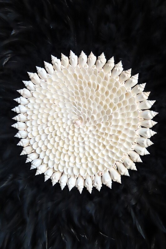 Large Black Sea Shell Center Wall Art 2