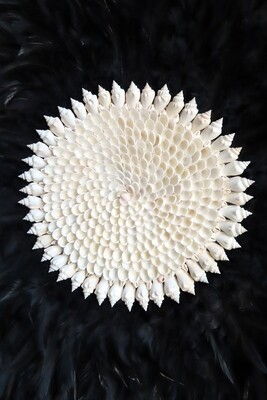 Large Black Sea Shell Center Wall Art 2