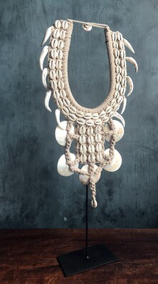 Natural Shell Necklace on Stand