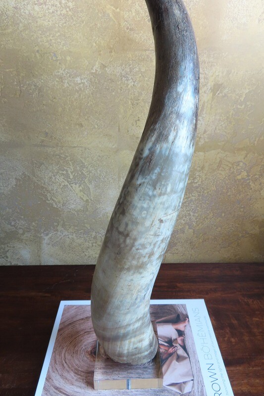 Elegant Horn on Lucite Stand