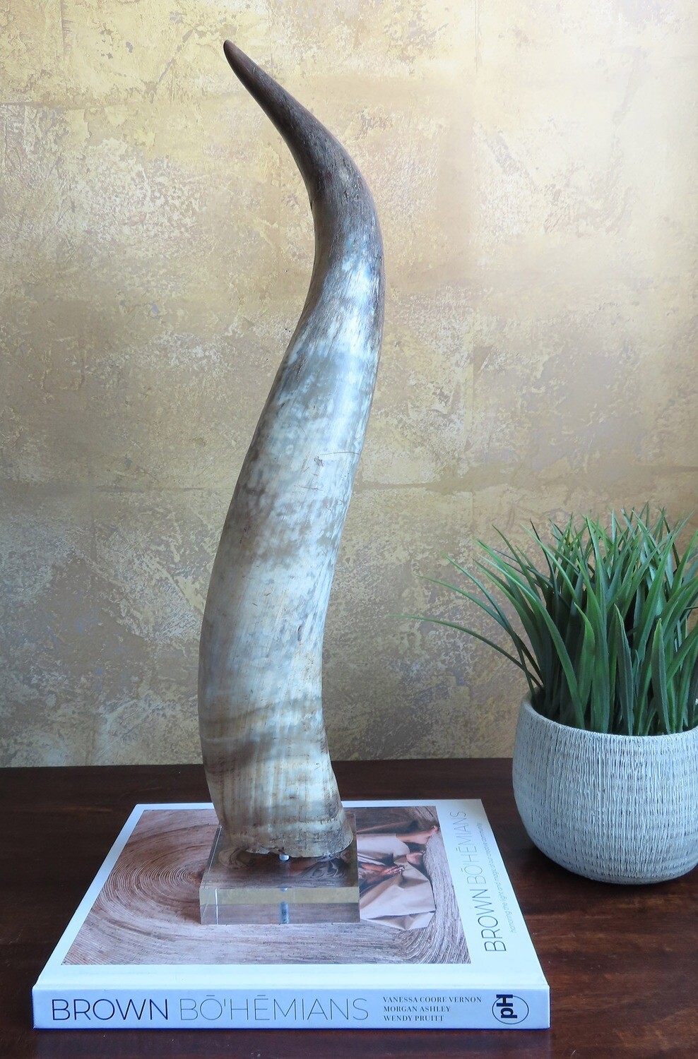 Elegant Horn on Lucite Stand