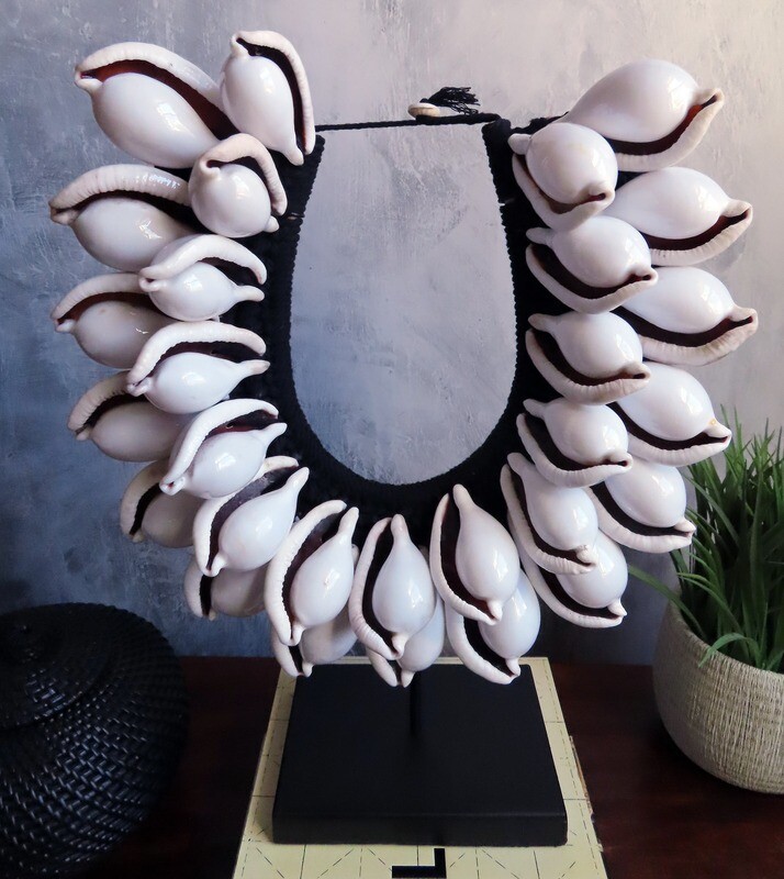 Small Ovula Shell Necklace