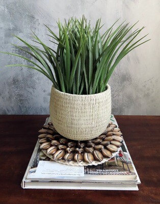 Pair of Cowrie Shell Plant Coasters