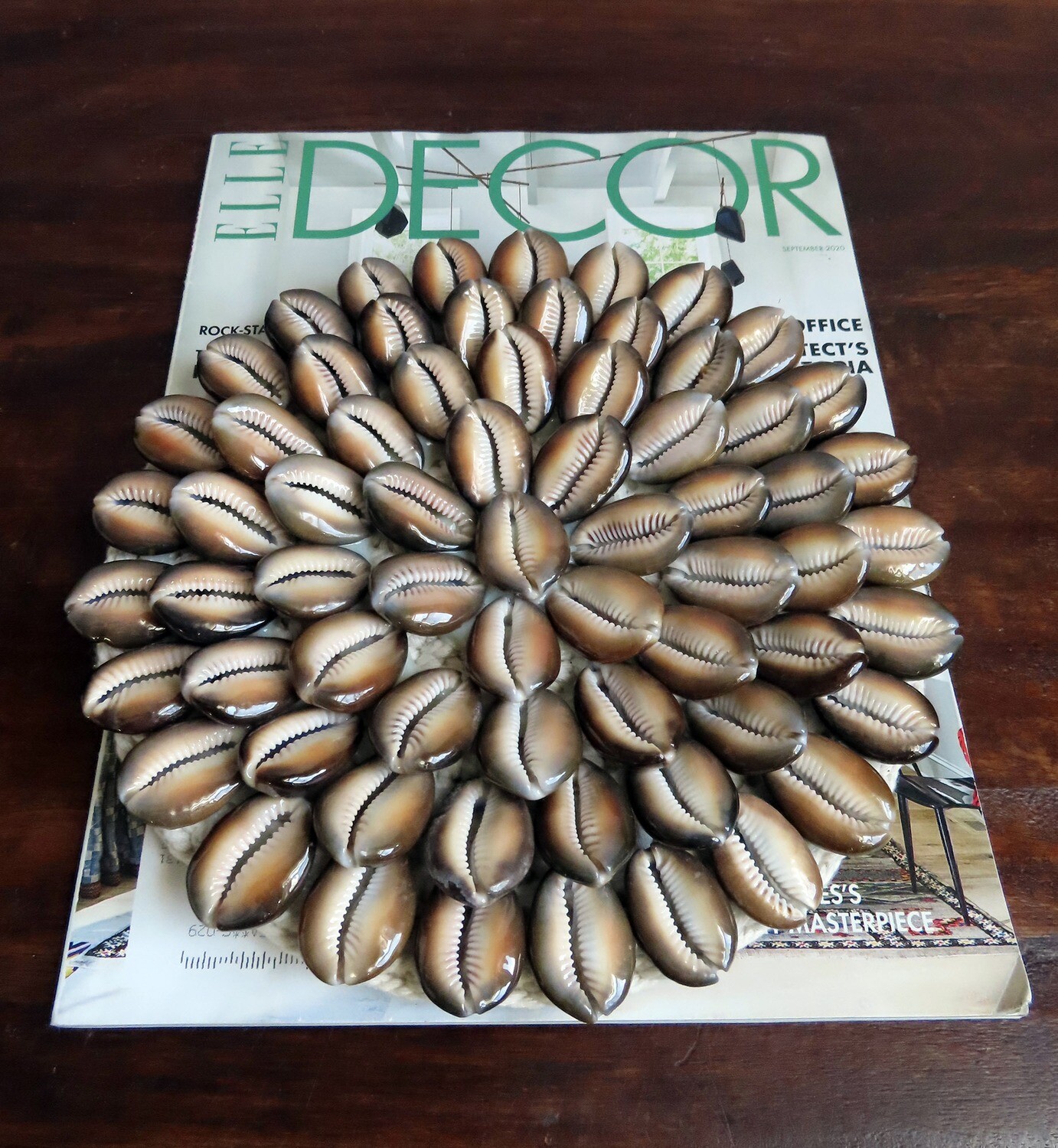 Pair of Cowrie Shell Plant Coasters