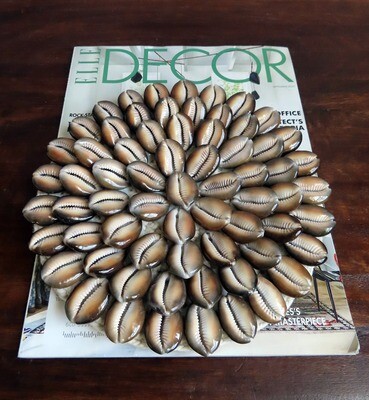 Pair of Cowrie Shell Plant Coasters
