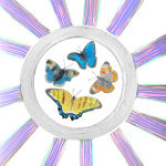 Free Creative Shop