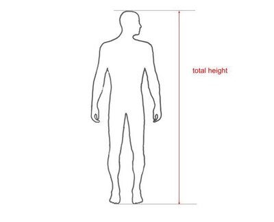 cyclist&#39;s body measurements