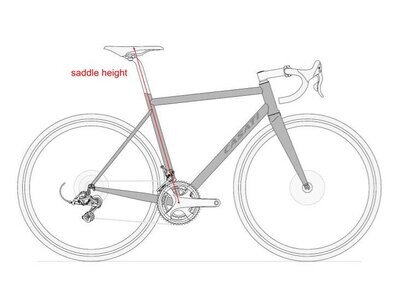 cyclist&#39;s position on the bicycle