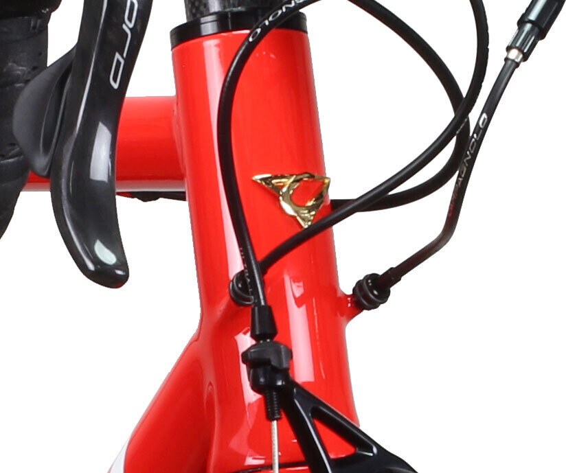 Casati Logo head tube
