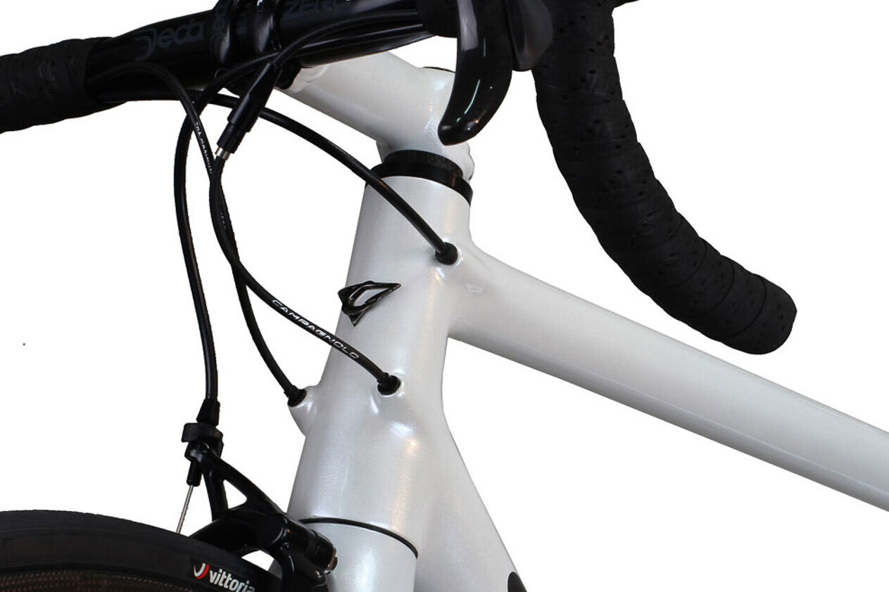 Casati Logo head tube