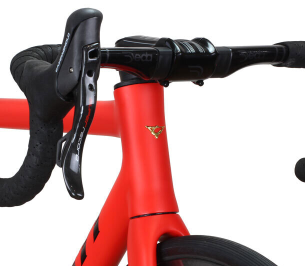 Casati Logo head tube