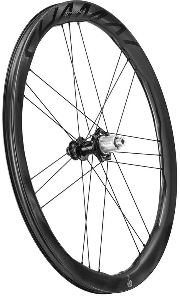 Campagnolo Shamal Dual Profile