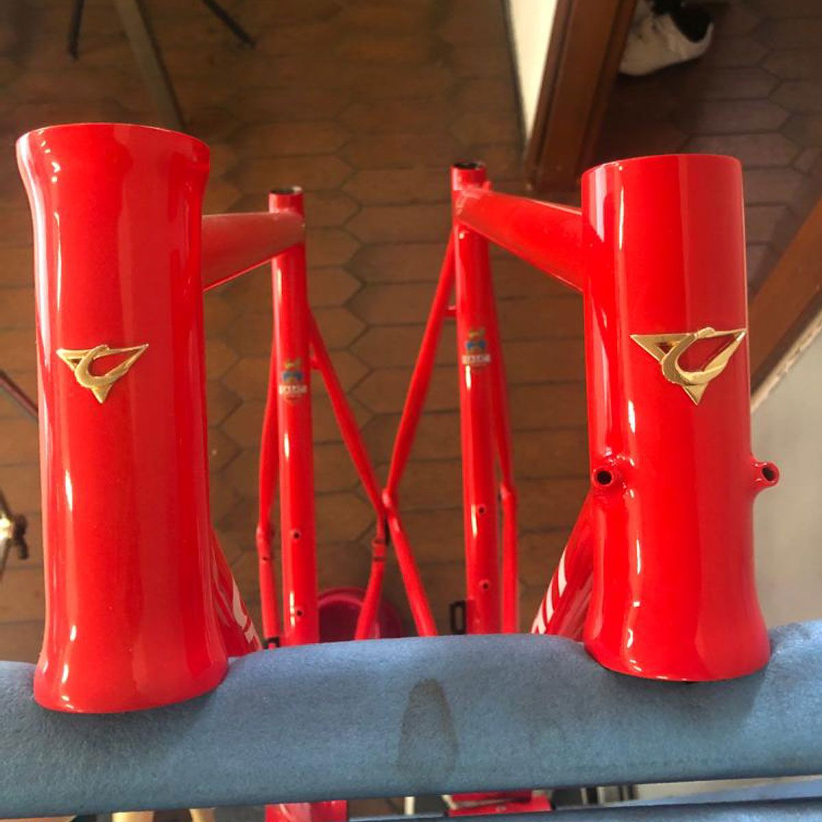 Casati Logo head tube