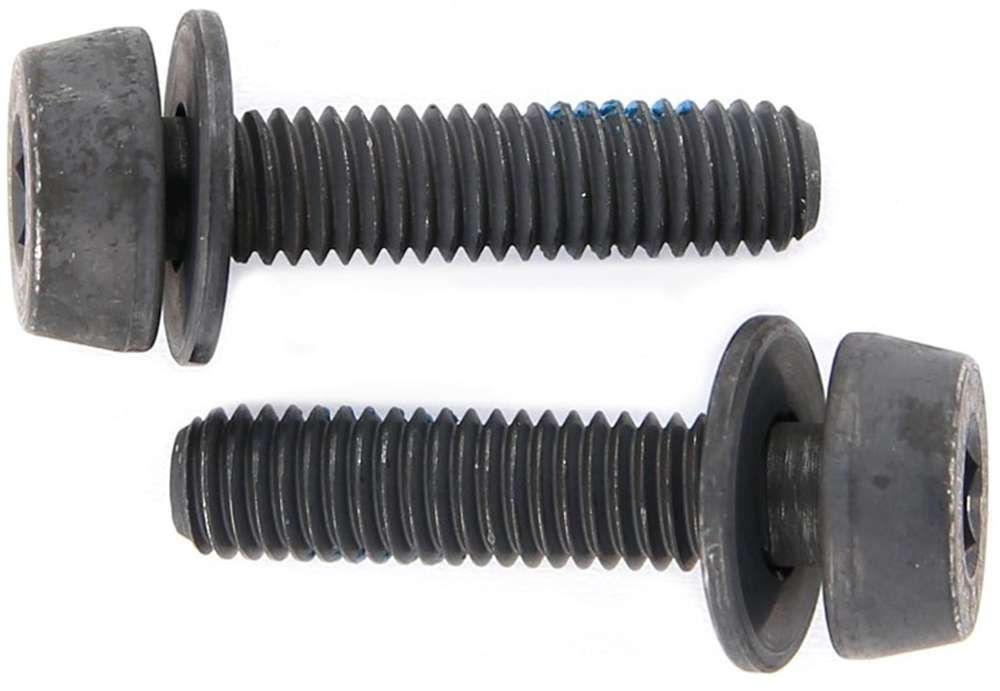 Campagnolo mounting bolts for disc brakes