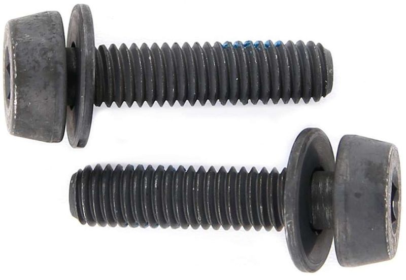 Campagnolo mounting bolts for disc brakes