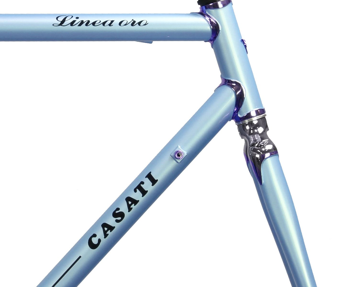 frame CAMPIONISSIMO Linea