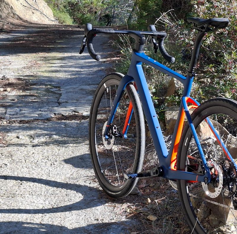 Bicycle Rentals