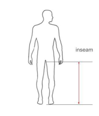 body measurements