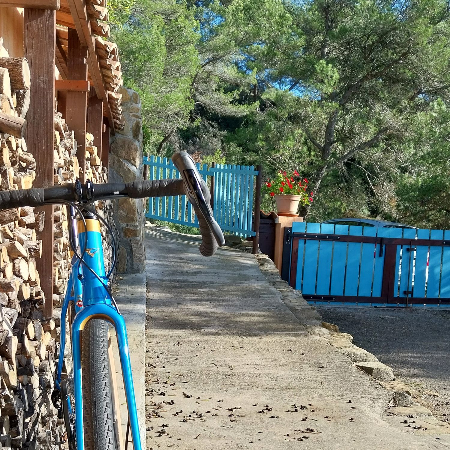 bicycle service
