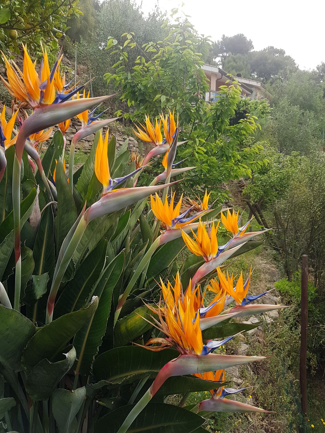 Liguria Cycling Lodge 4 days