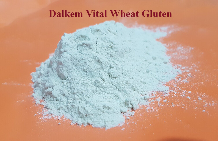 Vital Wheat Gluten Food Grade