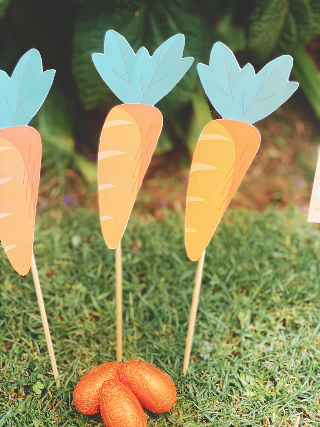 Hoppin Easter Hunt Kit