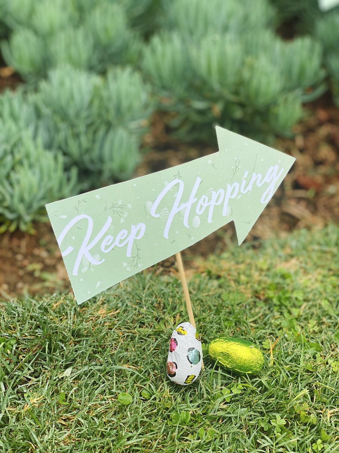 Hoppin Easter Hunt Kit
