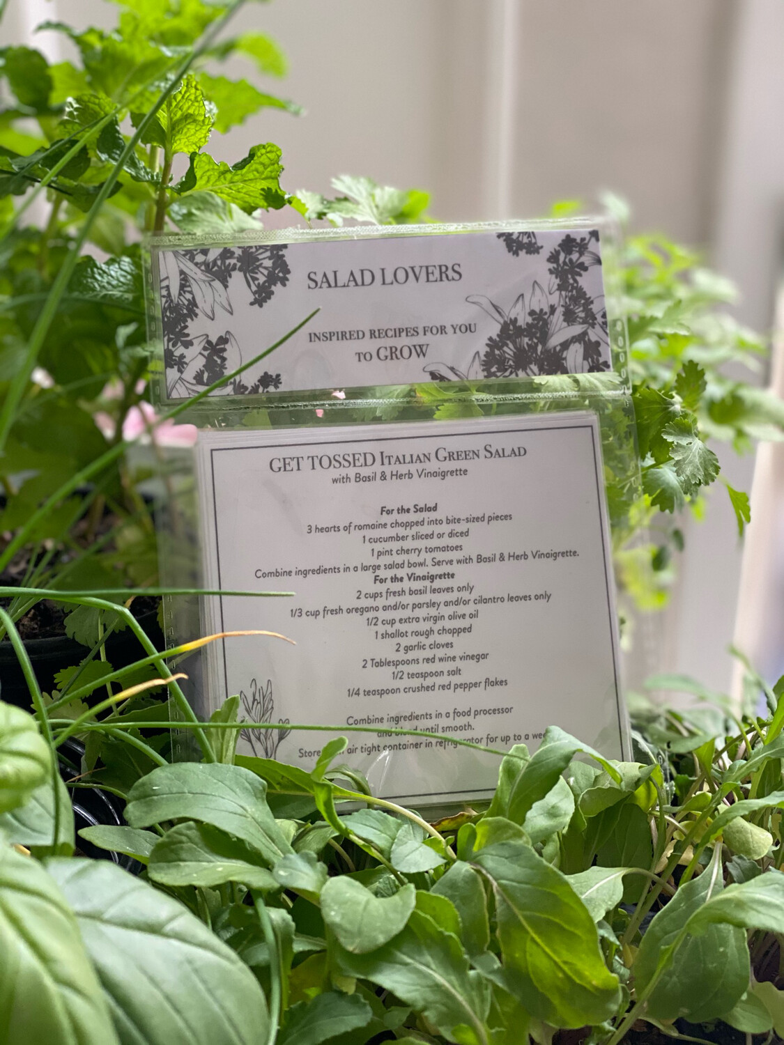 Salad Lovers Recipe Cards