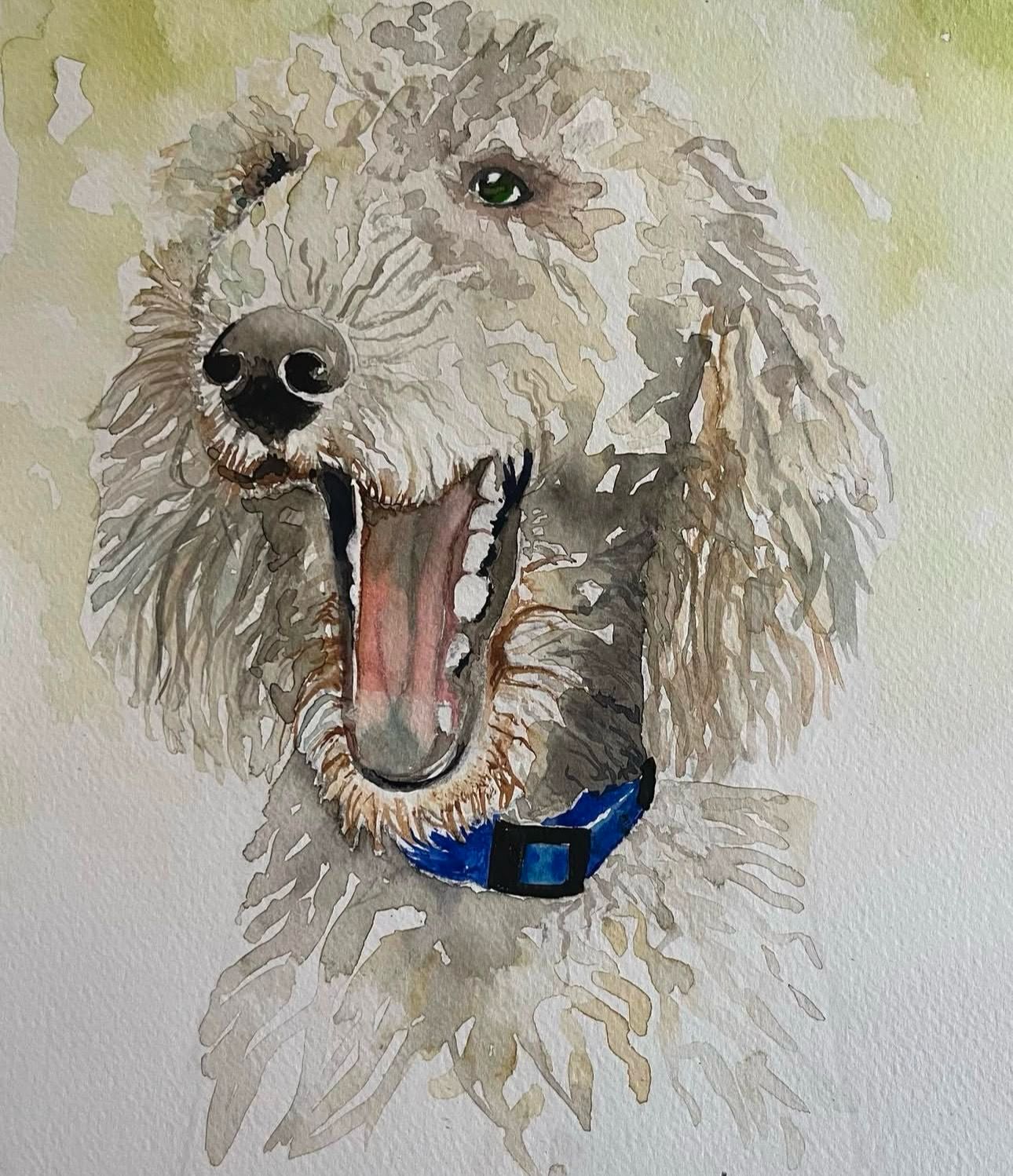 Pet portraits