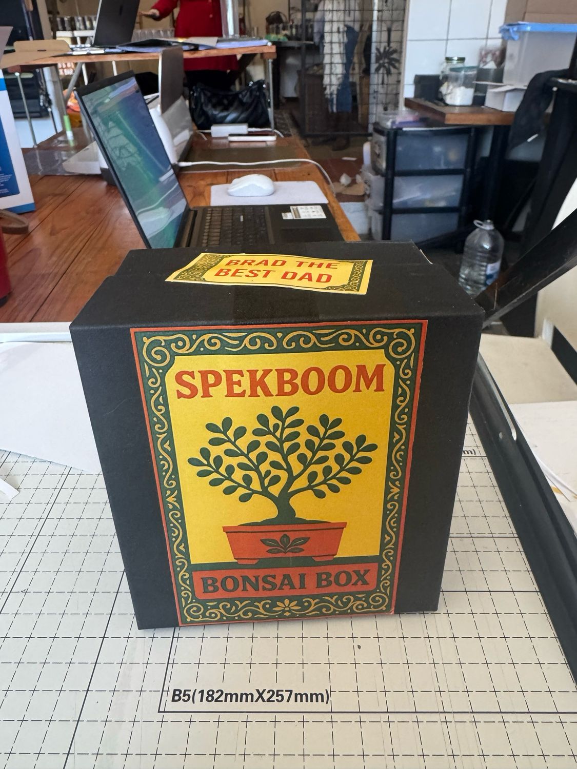Mini Spekboom Bonsai Box
