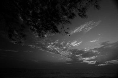 Hermitage Sunset lll - Florida