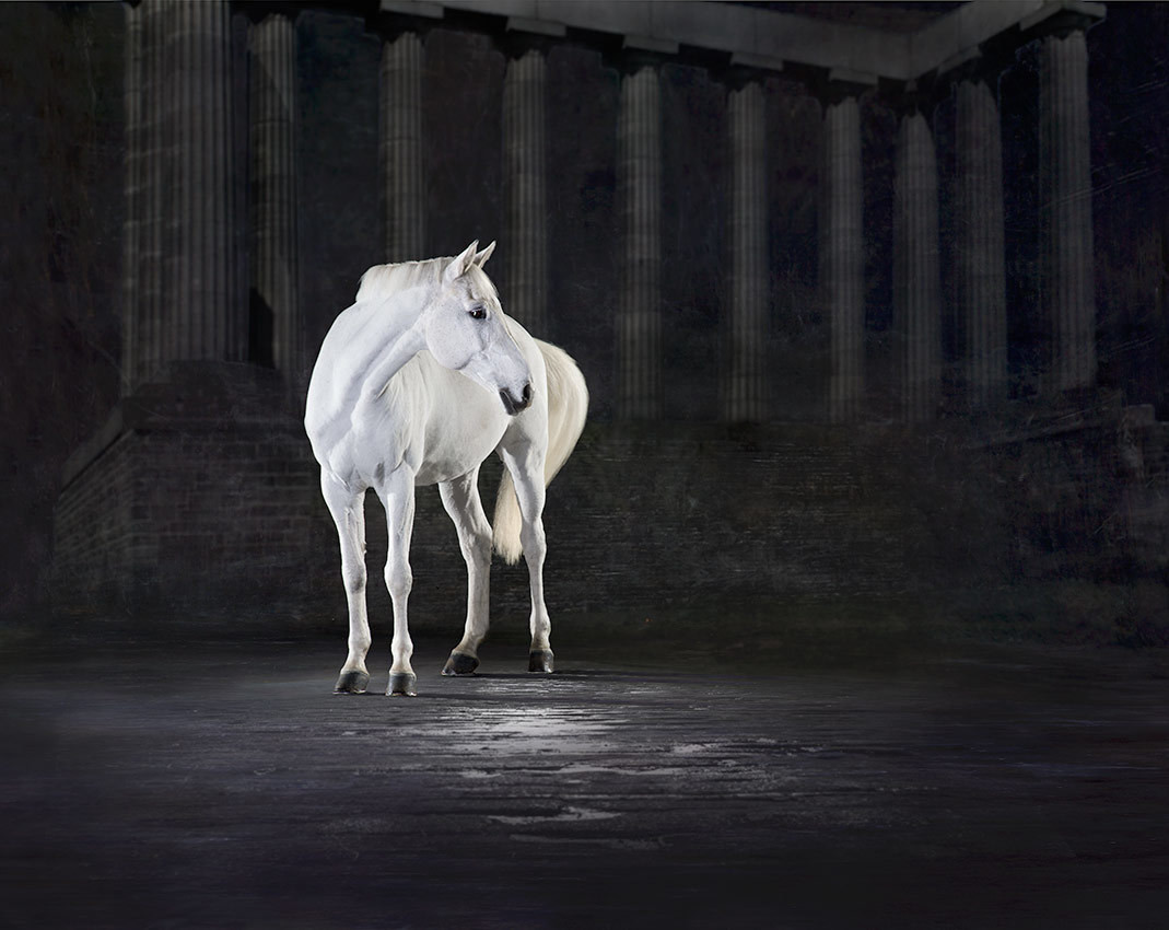 Athena - The Horse Series
