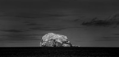 Bass Rock - Scotland