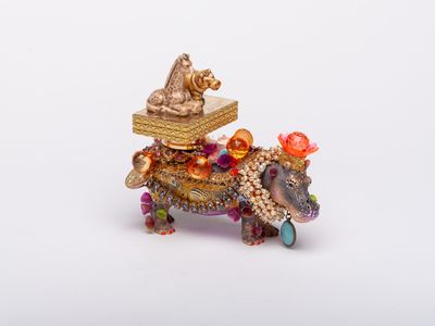 Hippo - Safety and Adventure