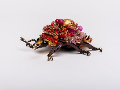 Wall Bug - Gold Humped Pink Relic Beetle