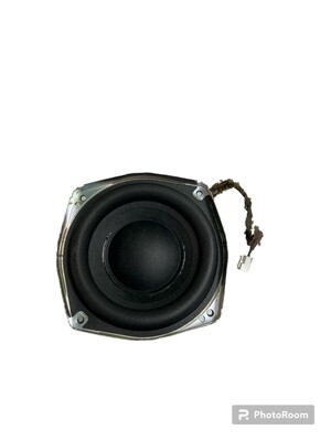 Bose Sounddock 10 Speaker Drive