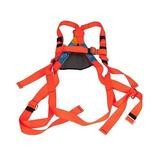 Safety Harness